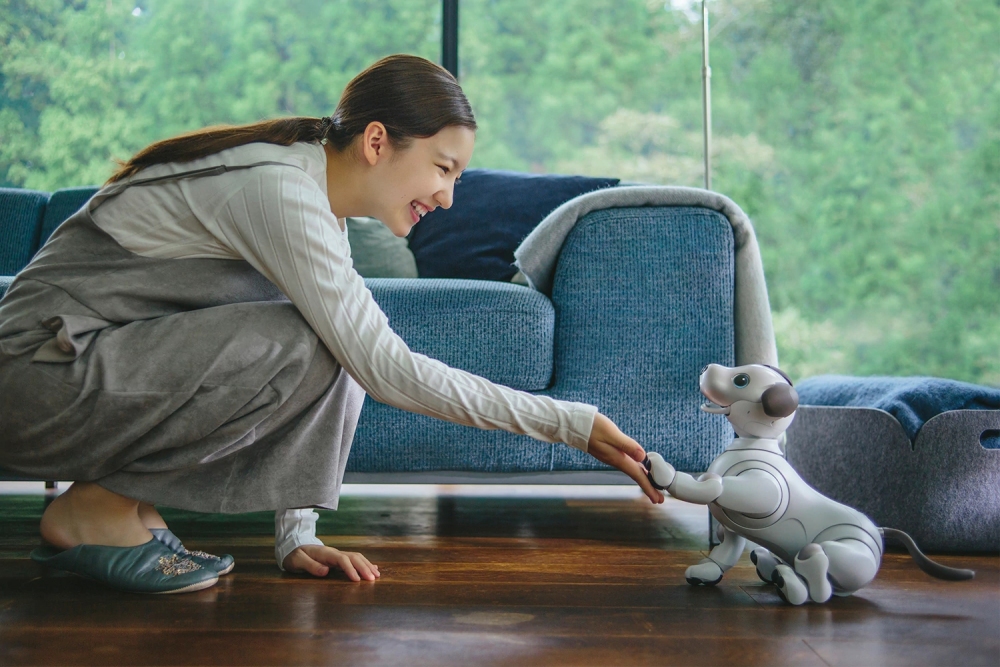 Sony aibo