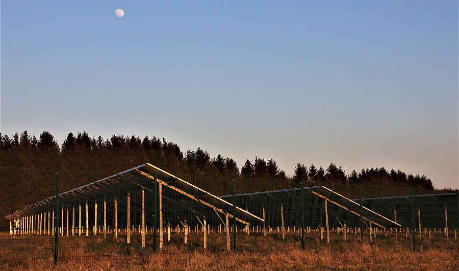 Solar plant.