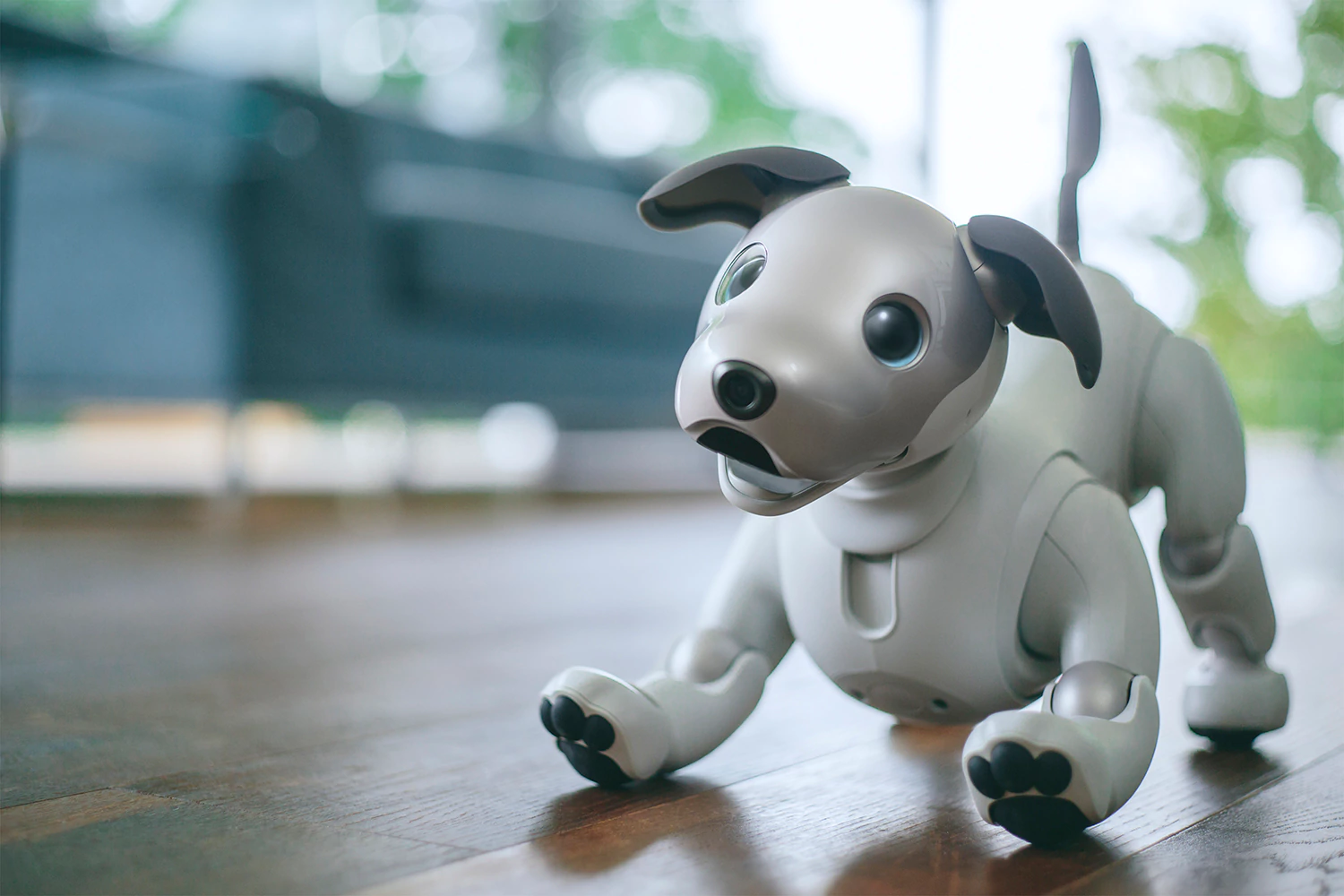 Sony Aibo